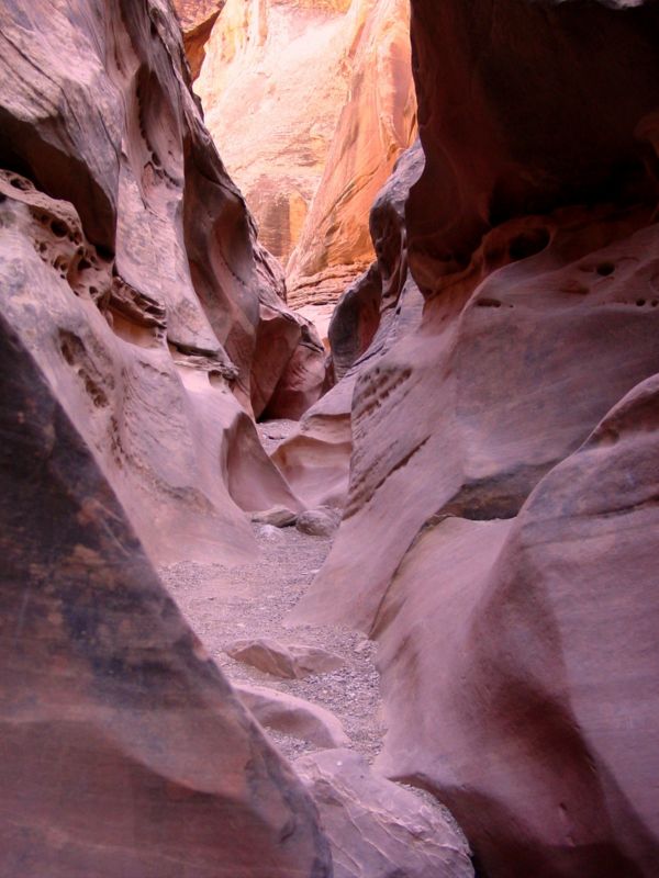 04160302LittleWildHorse (1069)